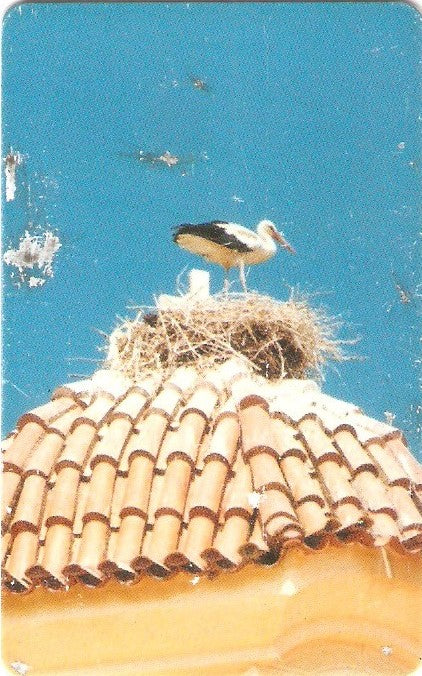 GRE-X0916 - Erythres