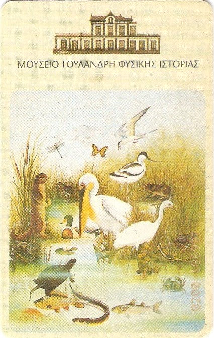 GRE-X1026 - Pássaros - Dinossauros