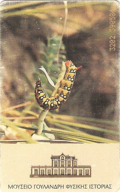 GRE-X1101 - Borboletas