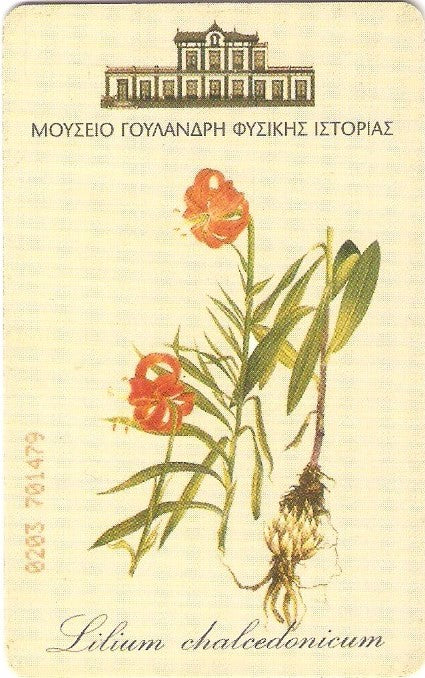 GRE-X1106 - Rosa Canina