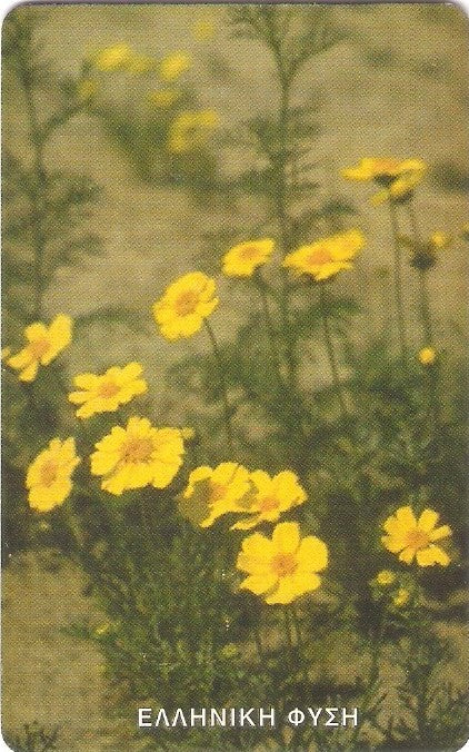 GRE-X1116 - Natureza