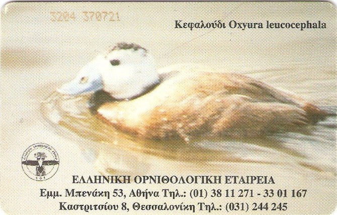 GRE-X1122 - Pato
