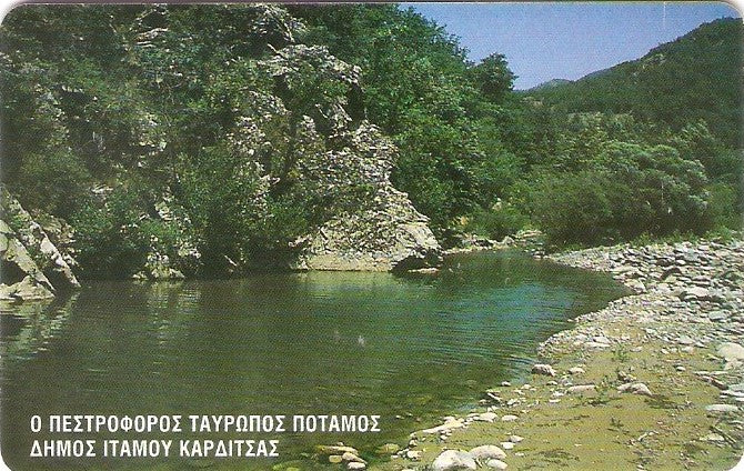 GRE-X1375 - Dryades Forest Village