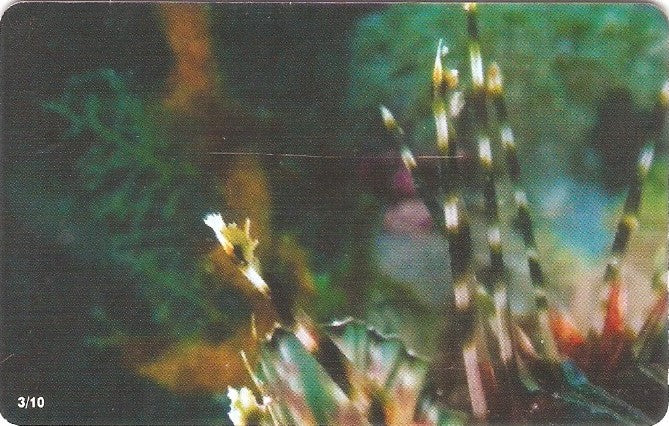 GRE-X2211 - Peixe Leão - 03/10