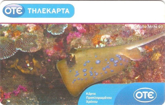 GRE-X2235 - Vida Marinha - 3