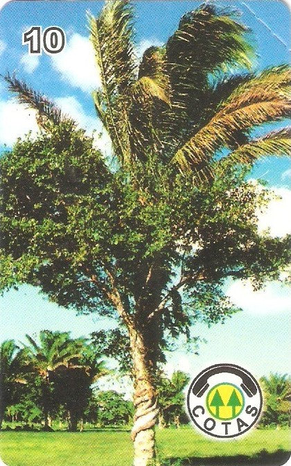 BOL-CO-050 - Árvore