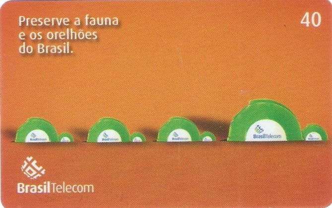 PRC04-303 - Tartarugas - 40