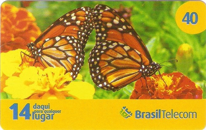 PRC08-011 - Borboletas