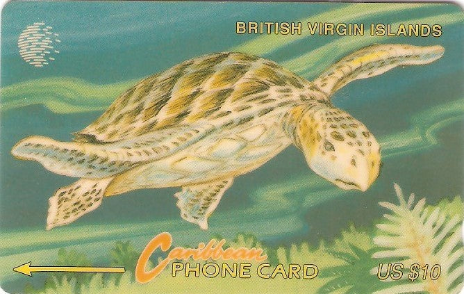 BVI-021C - Tartaruga