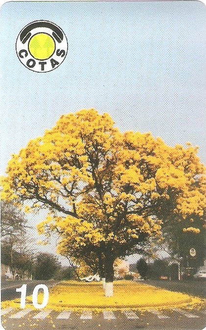 BOL-CO-011BI - Tajibo - 02