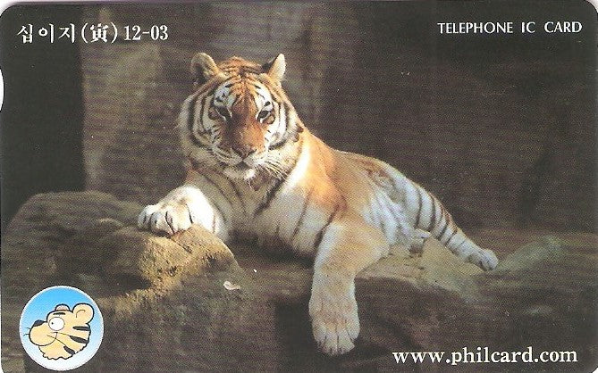 SOK-IC102189 - Tigre