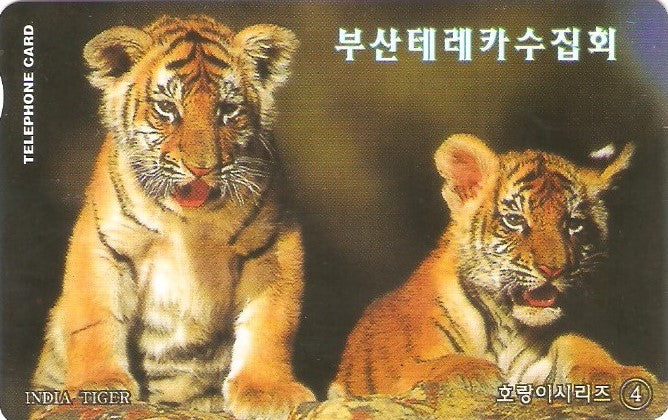 SOK-MC0991110 - Tigres Indianos