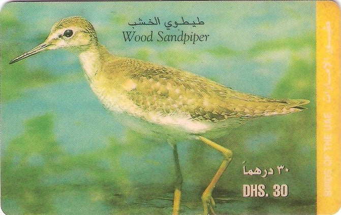 UAE-P-005A - Ave - Wood Sandpiper
