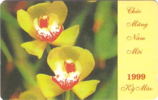 VIET-M-005B - Orquídea