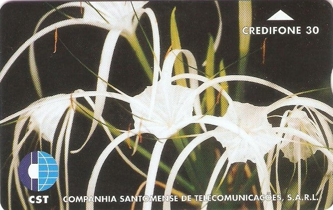 STP-04 - Flores