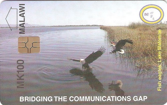 MLW-C02 - Águias Pescadoras