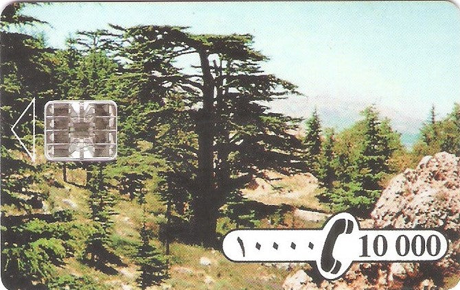 LEB-SOD-03 - Cedro - Cartão de Teste