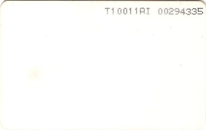 PER-TE-062 - Lhama