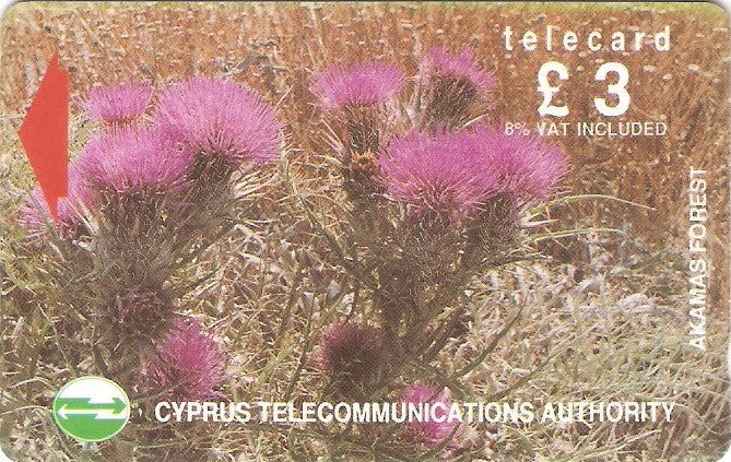 CYP-G-045 - Flores da Floresta 2