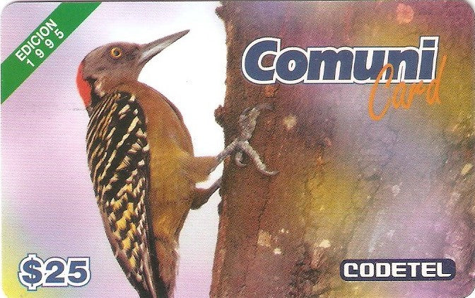 STD-C002M - El Carpintero