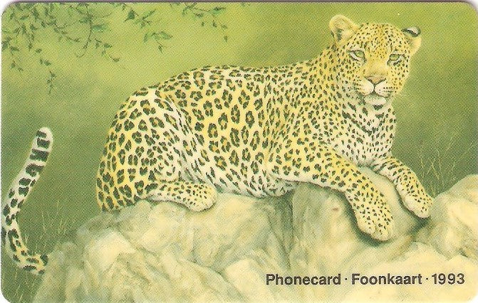 SAF-004 - Leopardo