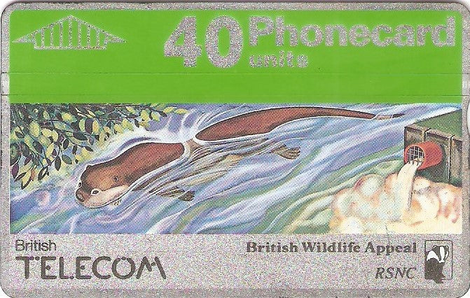 BTC-027 - Lontra-046A