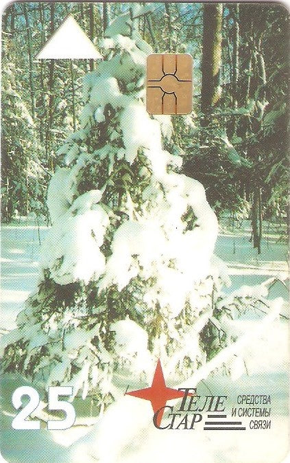 RU-DOM-TS-004 - Árvore com Neve