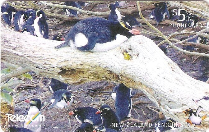 NZG-C-109 - Pinguins