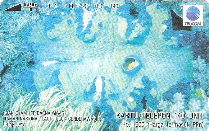 INS-S-159 - Vida Marinha - 8