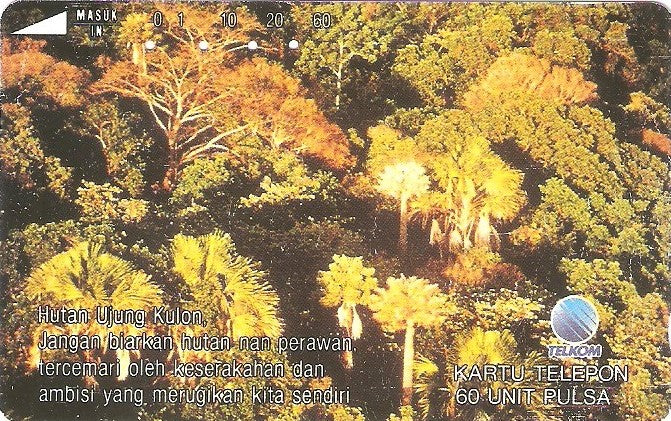 INS-S-177 - Floresta