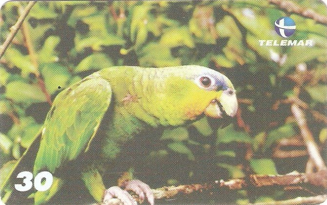 PA-489 - Aves - 1 - 3/6