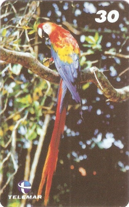 PA-490 - Aves - 1 - 4/6