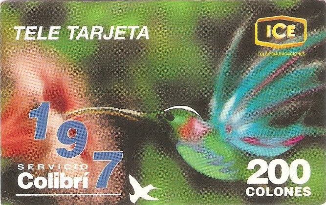 COS-P013 - Flor e Colibri