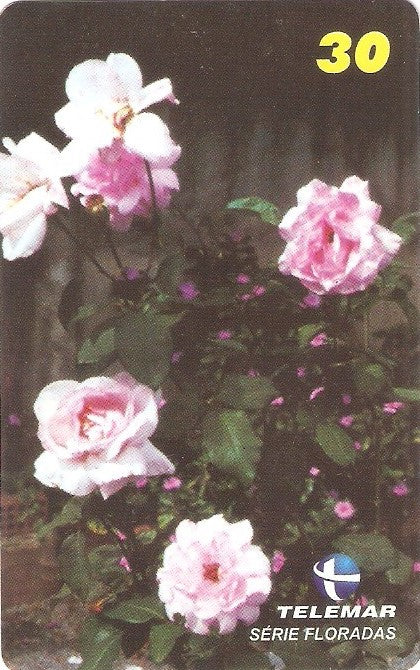 MG-1161A - Floradas - 2/4