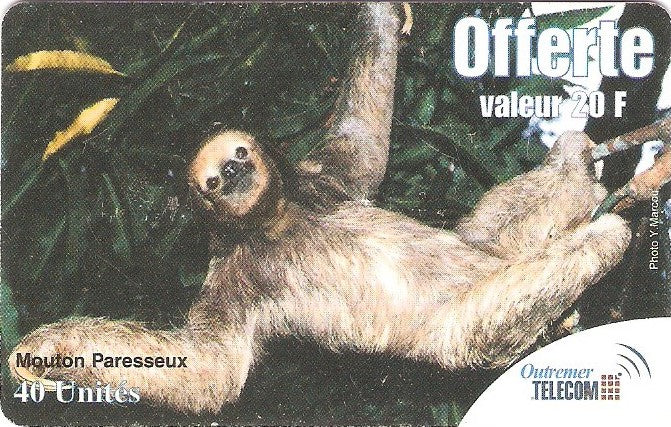 FA-OUT-121 - Bicho Preguiça