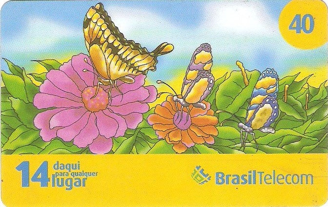 GOC08-51 - Primavera - 1