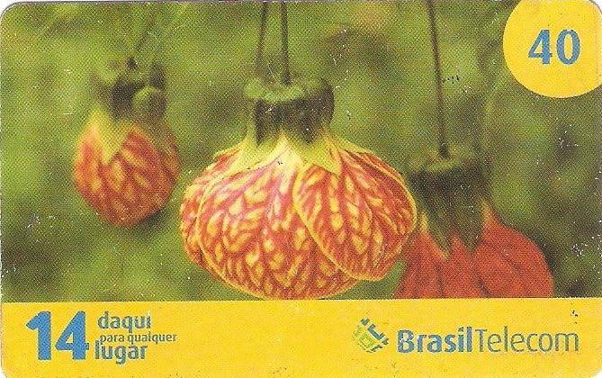 DFC08-17 - Primavera - 2