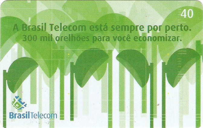 GOC05-092 - Capilaridade - 40