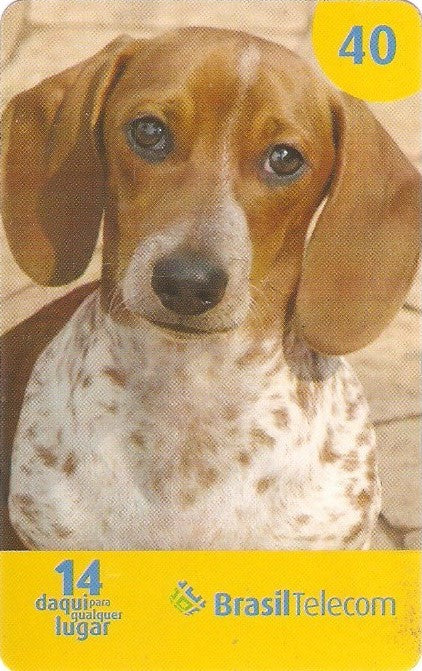 GOC07-49 - Cães - 2/2