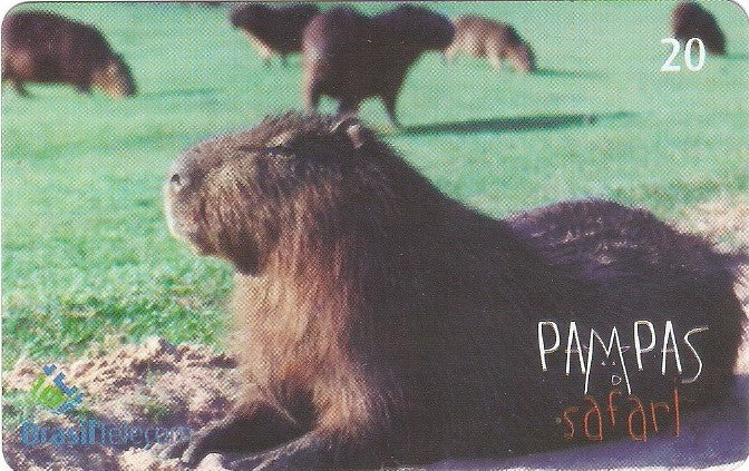 RS-0830 - Pampas Safari - 20C - 03/11