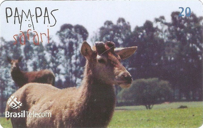 RS-0831 - Pampas Safari - 20C - 04/11