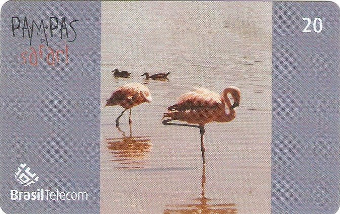 RS-0833 - Pampas Safari - 20C - 06/11