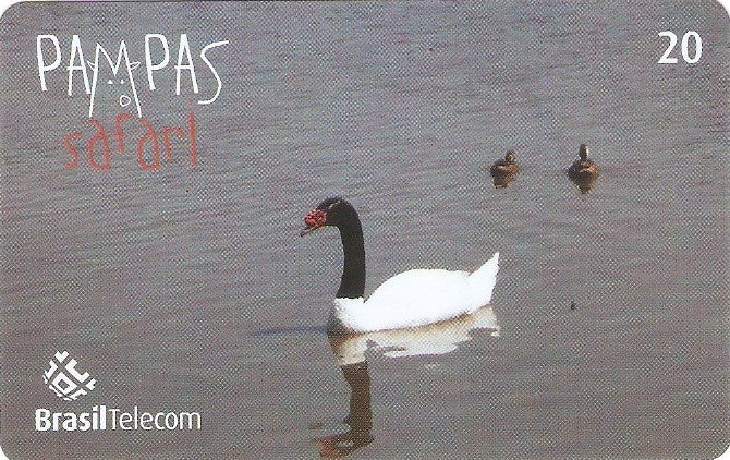RS-0835 - Pampas Safari - 20C - 08/11