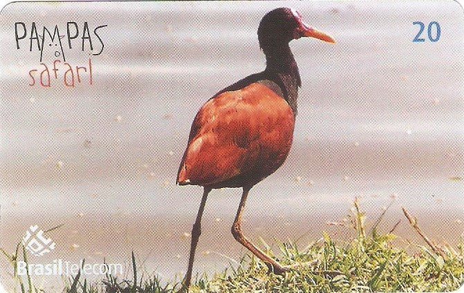 RS-0836 - Pampas Safari - 20C - 09/11