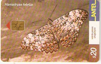 URU-C-248a - Borboleta