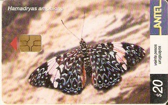 URU-C-247a - Borboleta