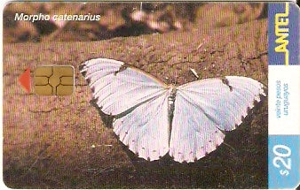 URU-C-246a - Borboleta