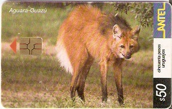 URU-C-250a - Aguará-Guazú