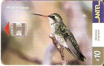 URU-C-204a - Picaflor Verde