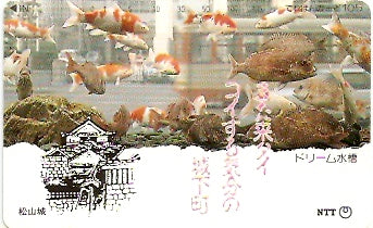 JAP-370-148